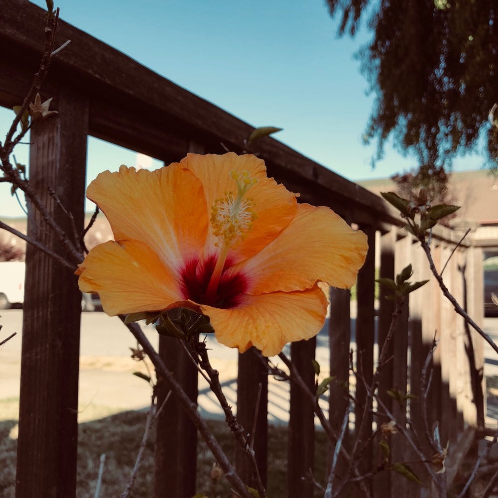 Meet your Posher, Payton